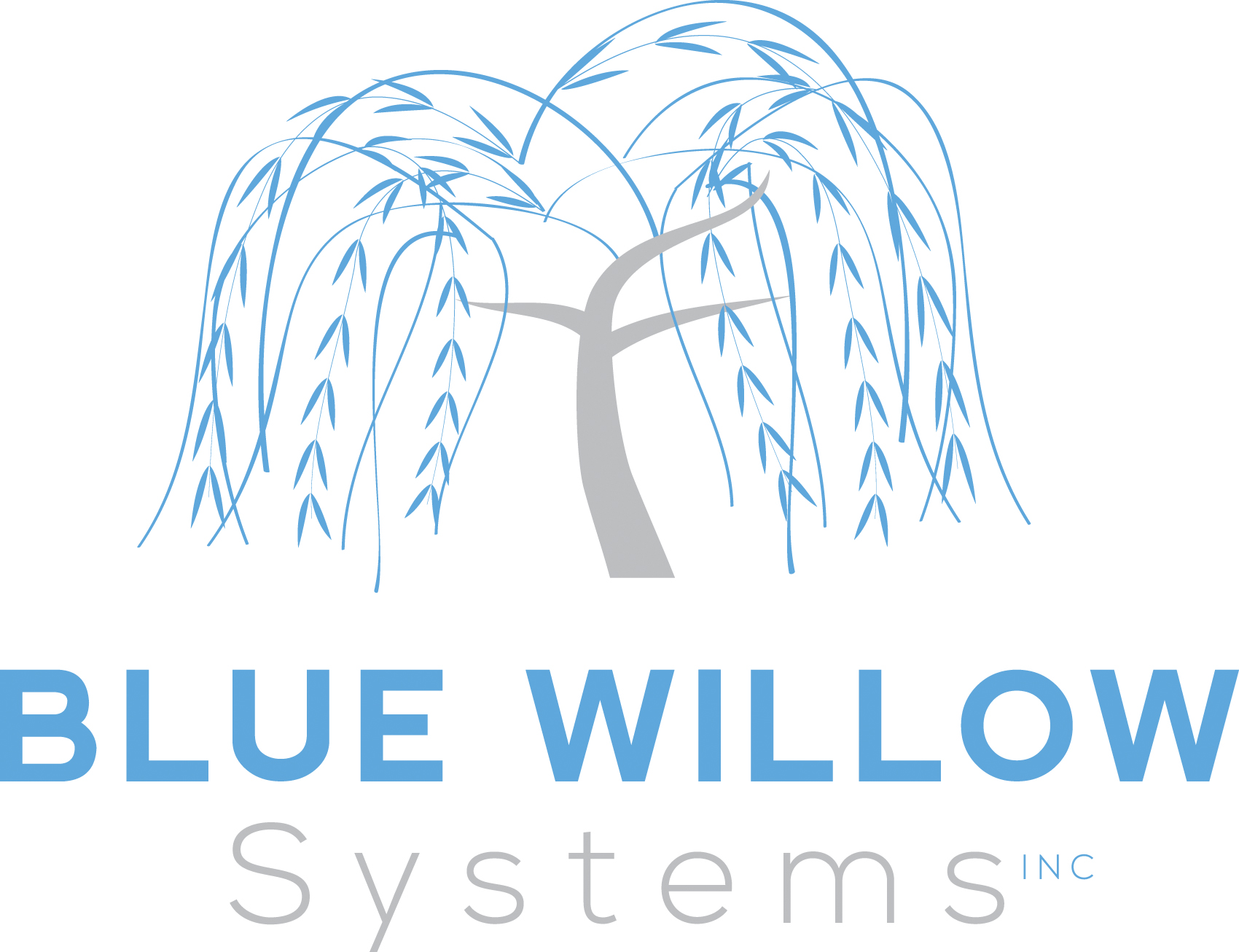 Blue Willow Systems Innovators To Speak at Leading Age Peak Leadership