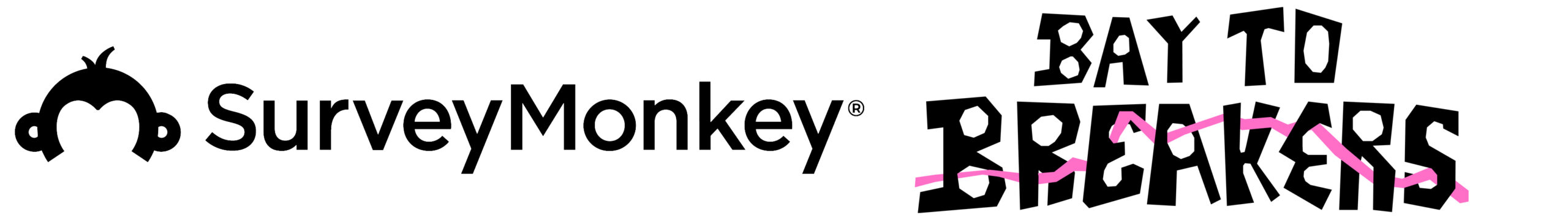 Bay to Breakers Survey Money2